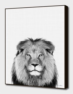 Curioos Lion Portrait by Vivid Atelier