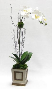 Artificial Orchid in Small Wooden Square Container