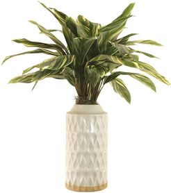 Creative Displays Plant in Ceramic Pot