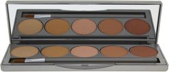 Colorescience 0.42oz Mineral Corrector Palette SPF 20