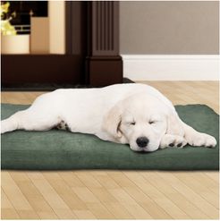 Petmaker Foam Pet Bed