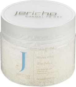 Jericho Cosmetics 18oz Peeling Scrub Sheer Embrace