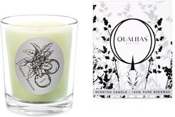 Qualitas Orange Blossom 6.5oz Beeswax Candle