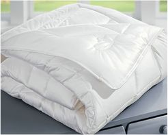 Downtown Company Natural Choice Winter Comforter
