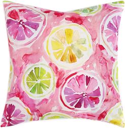 Barbarian Citrus Juice Feather Decorative Pillow