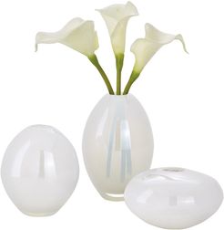 Torre & Tagus Mini Lustre White Vases, Assorted Set of Three