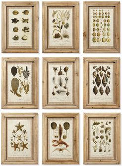 Napa Home & Garden Set of 9 Framed Antibes Print