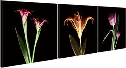 Chic Home Design Tropical 3pc Set Wrapped Canvas Wall Art