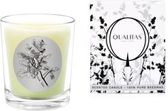 Qualitas Oak Tree 6.5oz Beeswax Candle