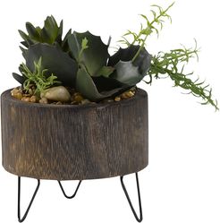 D&W Silks Assorted Succulents in Round Wooden Planter with Wire Legs