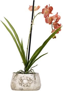 D&W Silks Red/Cream Vanda Orchid in Oval Ceramic Planter