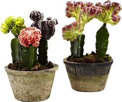 Nearly Natural Set of 2 Colorful Cactus Gardens