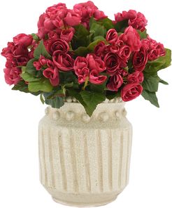 Begonia in Decorative Vase