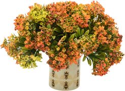 Kalanchoe In Planter
