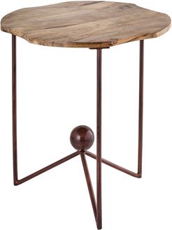 Artistic Home Telluride Side Table