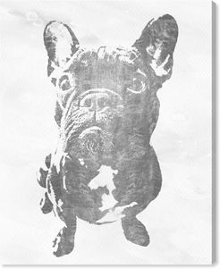 Frenchie Silver by The Oliver Gal Artist Co. Canvas Art