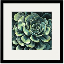 Courtside Market Wall Decor Succulent Bloom II Gallery Collection Framed Art