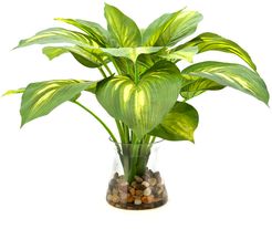 Creative Displays Green Hosta Plant in Glass Vase