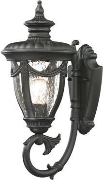 1-Light Anise Outdoor Sconce