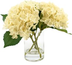 Creative Displays Small Cream Hydrangeas in Glass Vase