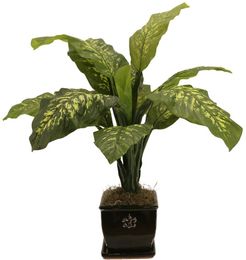 Creative Displays Plant in Ceramic Pot