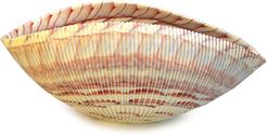 Murano Prestigue Murano Splendore Collection Shell 17.5in Bowl