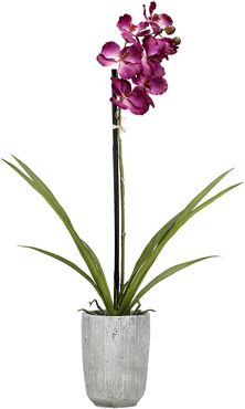 D&W Silks Purple Vanda Orchid in Concrete Planter