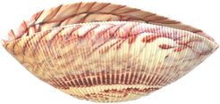 Murano Glass Shell Bowl