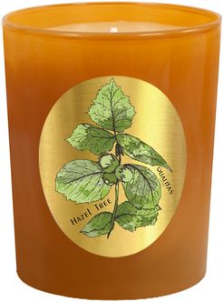 Qualitas Hazel Tree 6.5oz Beeswax Candle