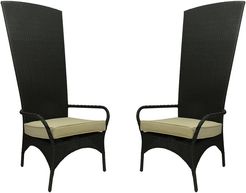 CC Outdoor Living Set of 2 Black Resin Wicker Outdoor Patio King Chairs