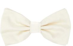 Silk-faille Bow Tie - Mens - White