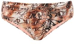 Bel-air Snake-print Bikini Briefs - Womens - Brown Print