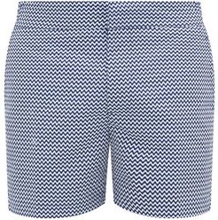 Copacabana Printed Swim Shorts - Mens - Blue White
