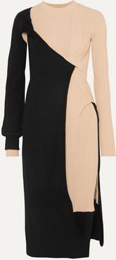 Two-tone Draped Ribbed-knit Dress - Black