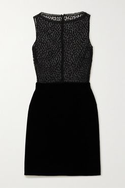 Cotton-blend Lace And Velvet Mini Dress - Black