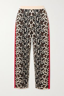 Intarsia Knitted Track Pants - Leopard print