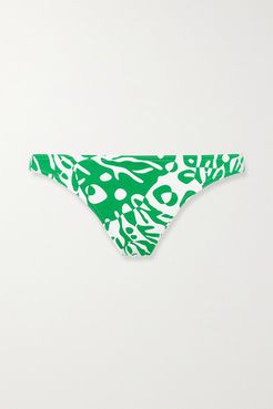 Crab Printed Bikini Briefs - Green