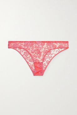 Floral Street Embroidered Tulle Briefs - Pink