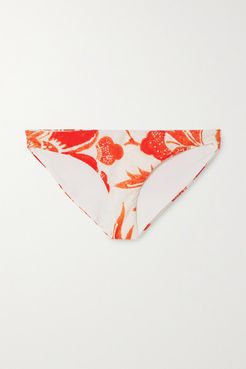 Zoa Floral-print Bikini Briefs - Red