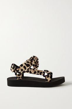 Maisie Bow-embellished Leopard-print Canvas Sandals - Leopard print