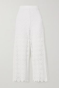 Dana Cropped Crocheted Cotton Straight-leg Pants - White