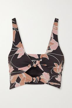 Bowie Knotted Cutout Floral-print Stretch Sports Bra - Black