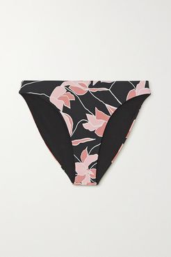 Chelsea Floral-print Bikini Briefs - Black