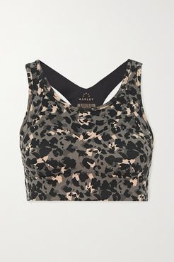 Bassett Leopard-print Stretch Sports Bra - Black