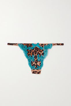 Molly Lace-trimmed Leopard-print Stretch-silk Thong - Brown