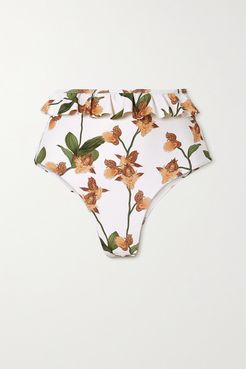 Alicia Ruffled Floral-print Bikini Briefs - Cream