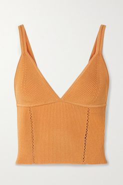 Lana Cropped Pointelle-trimmed Ribbed-knit Top - Orange