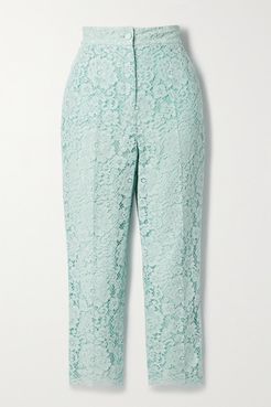 Cotton-blend Corded Lace Tapered Pants - Sky blue