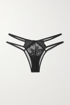 Frankie Cutout Satin And Tulle-trimmed Leavers Lace Briefs - Black