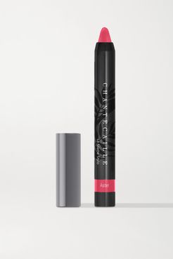 Le Matte Stylo Lip Crayon - Aster